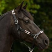 Lädergrimma Polo X-Line Svart/Rosa Lädergrimma Polo X-Line Svart/Rosa