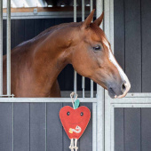 Hästleksak Apple i Mocka ECO Röd