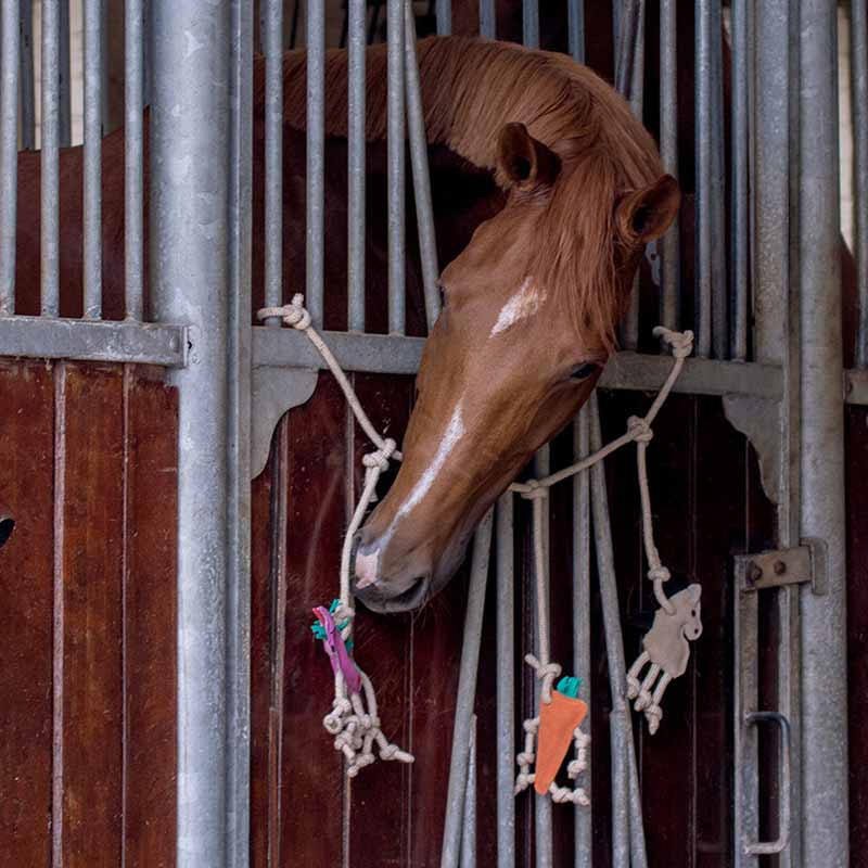 Hästleksak Box Hanger i Mocka