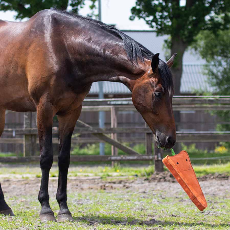 Hästleksak Carrot XL i Mocka ECO Orange
