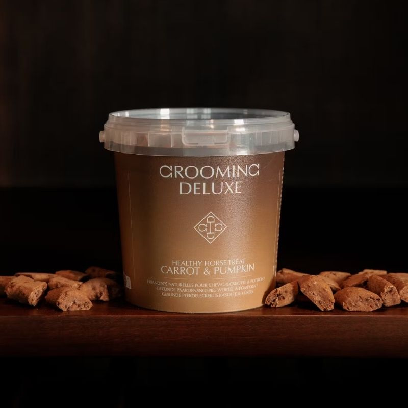 Hästgodis Healthy Horse Treats Carrot & Pumpkin 500g