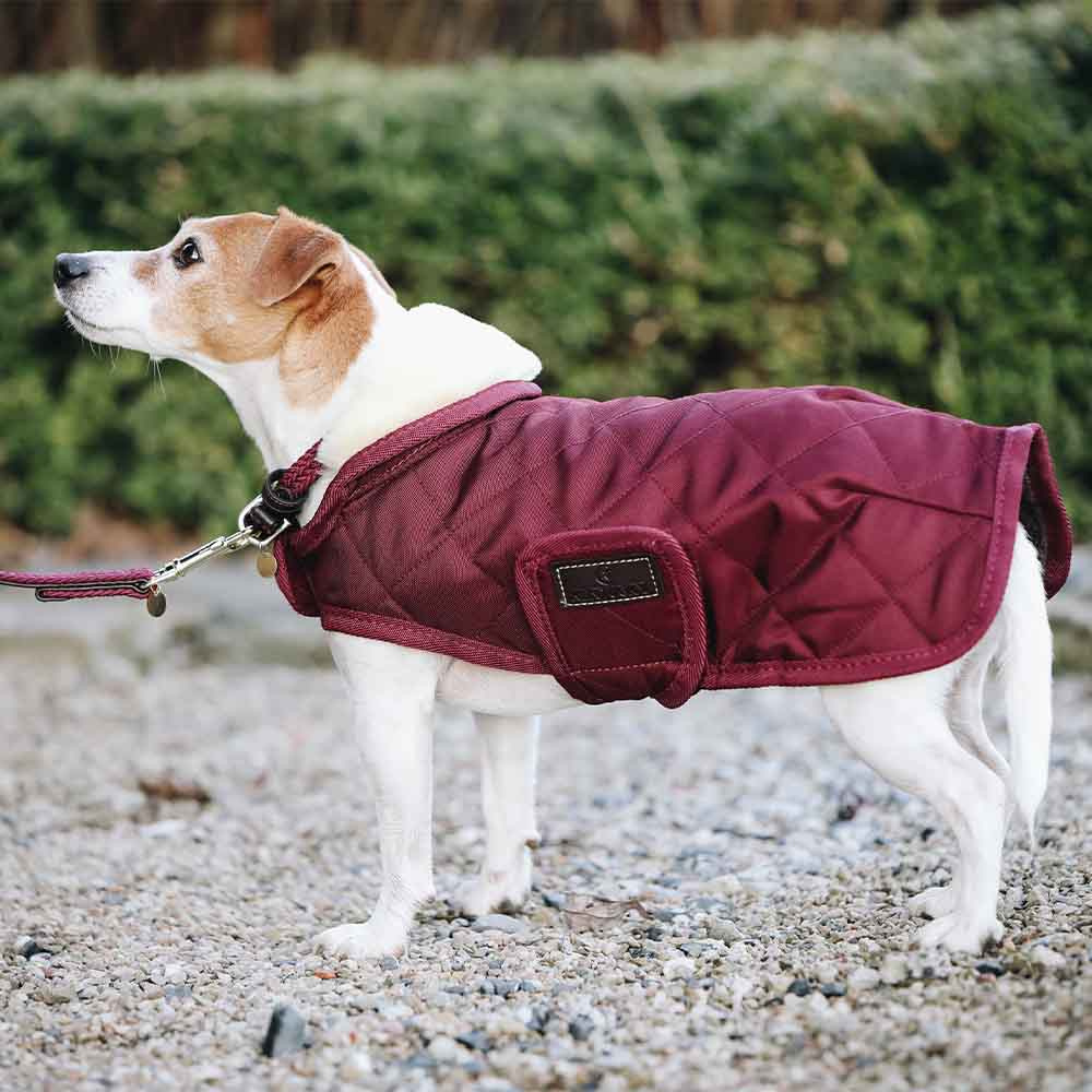 Hundtäcke Original Bordeaux