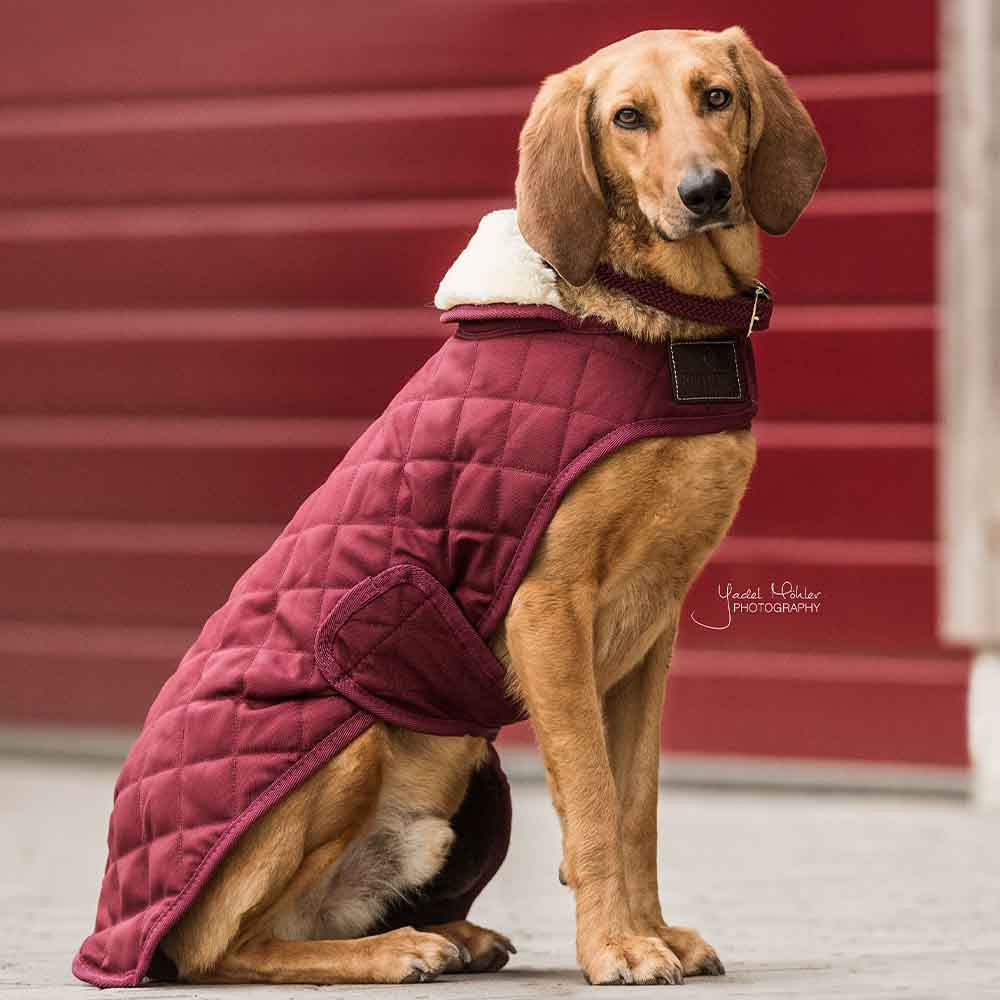 Hundtäcke Original Bordeaux