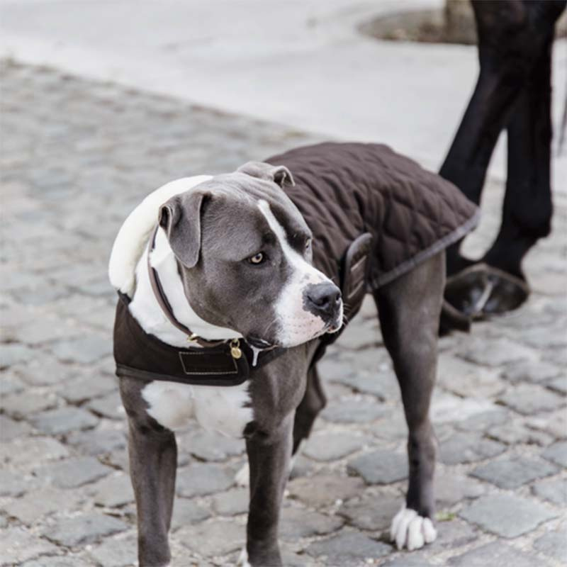 Hundtäcke Original Brun