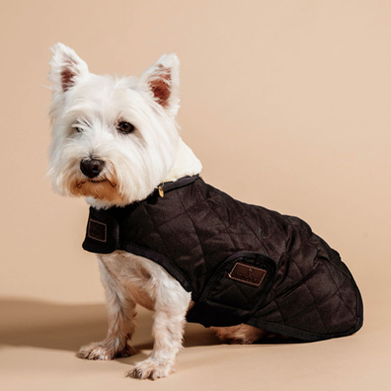 Hundtäcke Original Brun