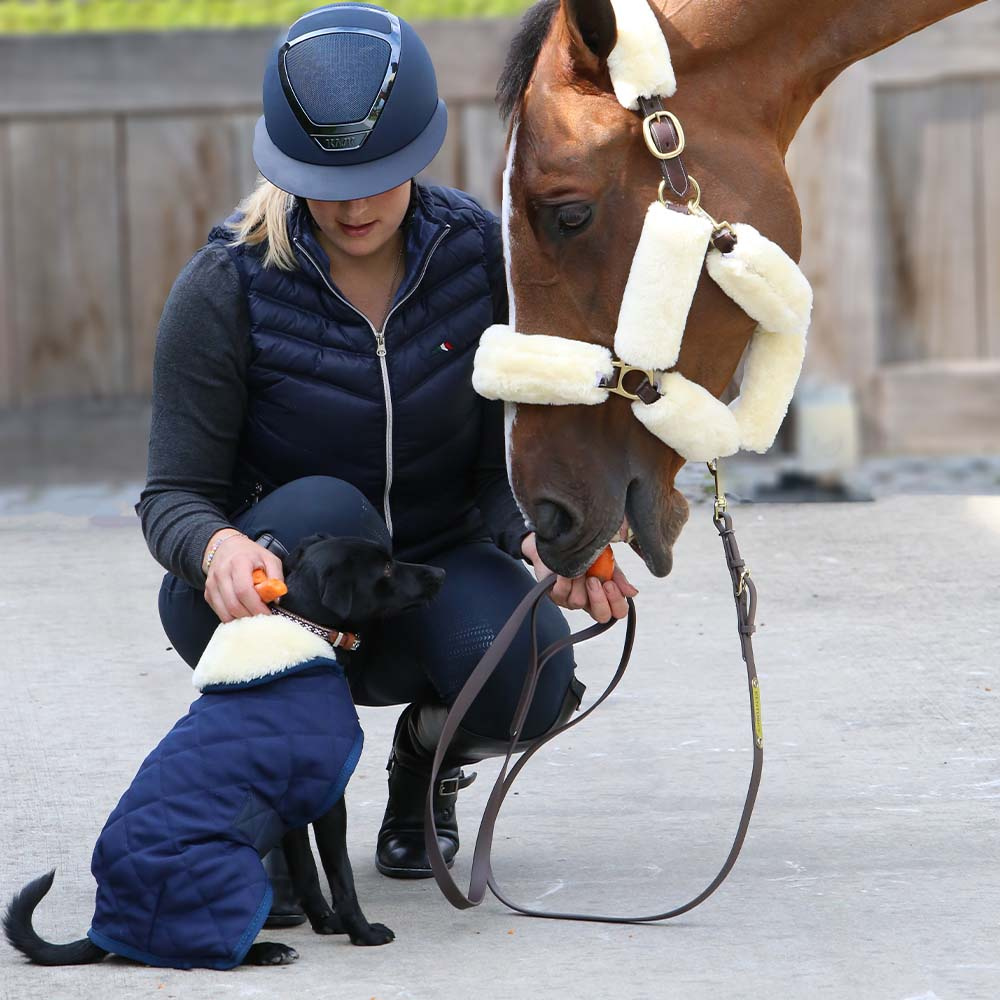 Hundtäcke Original Marinblå