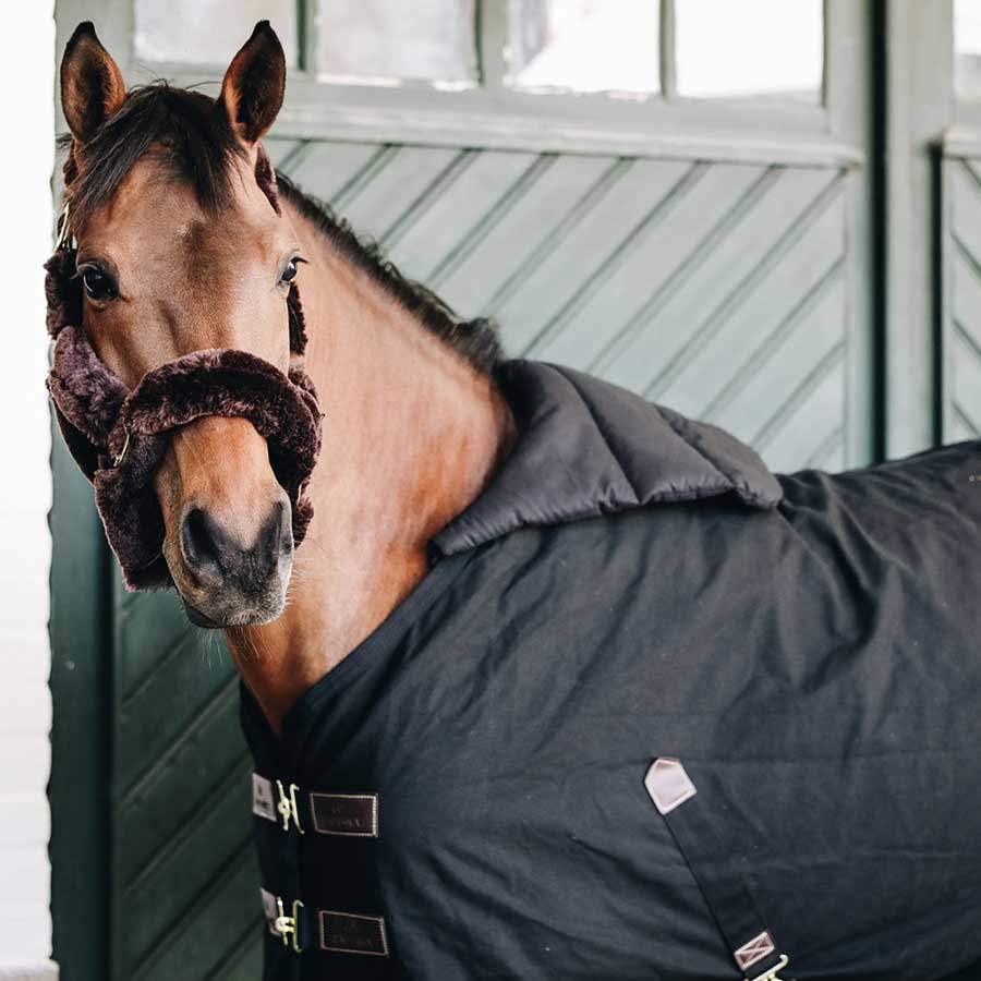 Bogskydd Horse BIB Summer Svart Full