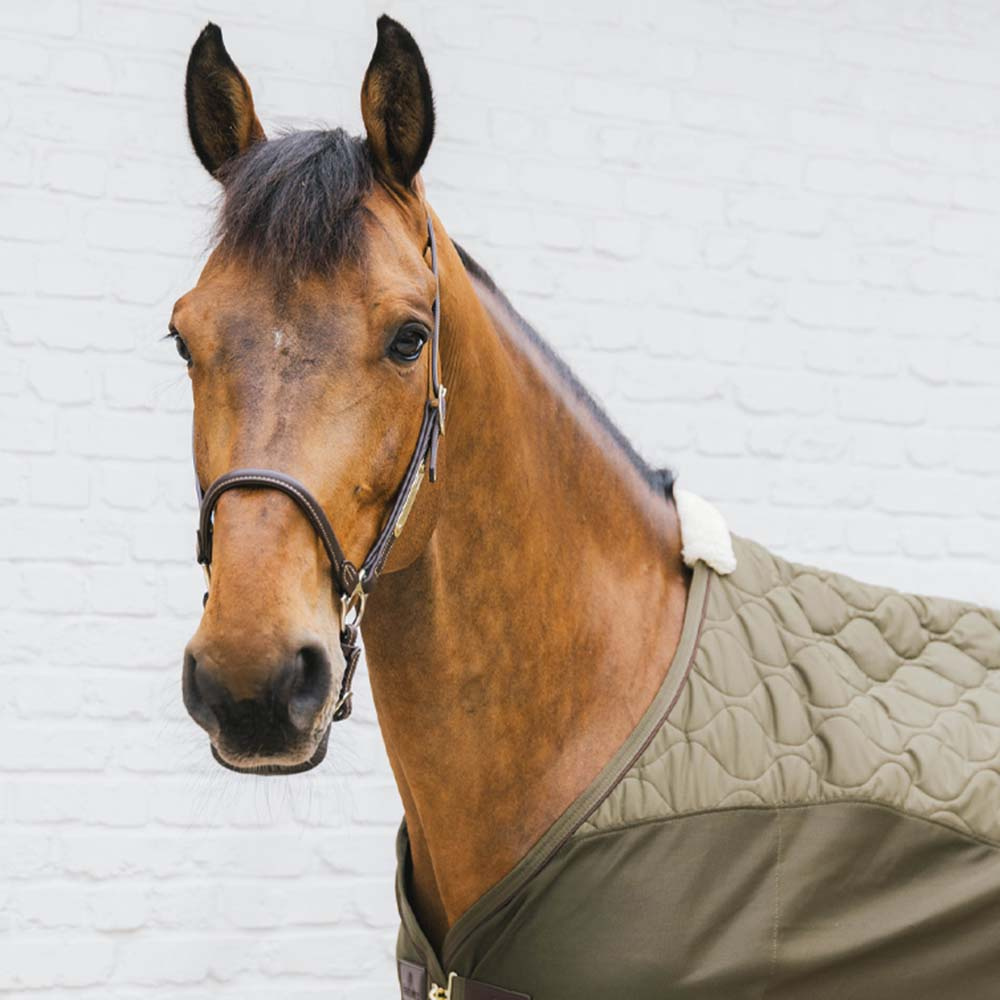 Transporttäcke Combo Cooler Fleece Grön