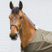 Transporttäcke Combo Cooler Fleece Grön Transporttäcke Combo Cooler Fleece Grön