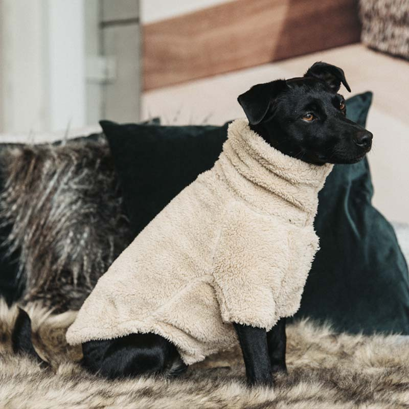 Hundtröja Teddy Fleece Beige