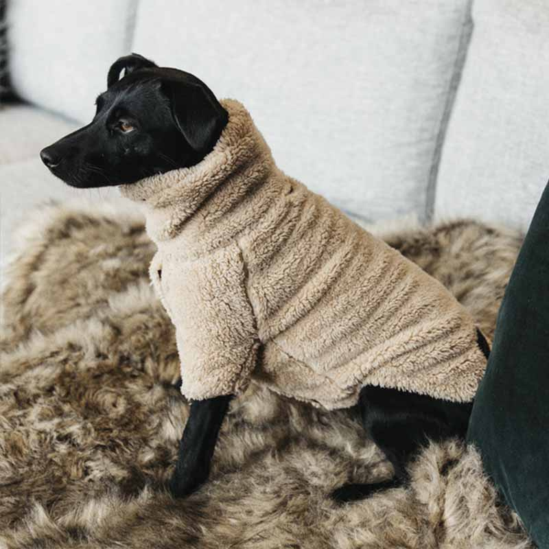 Hundtröja Teddy Fleece Beige