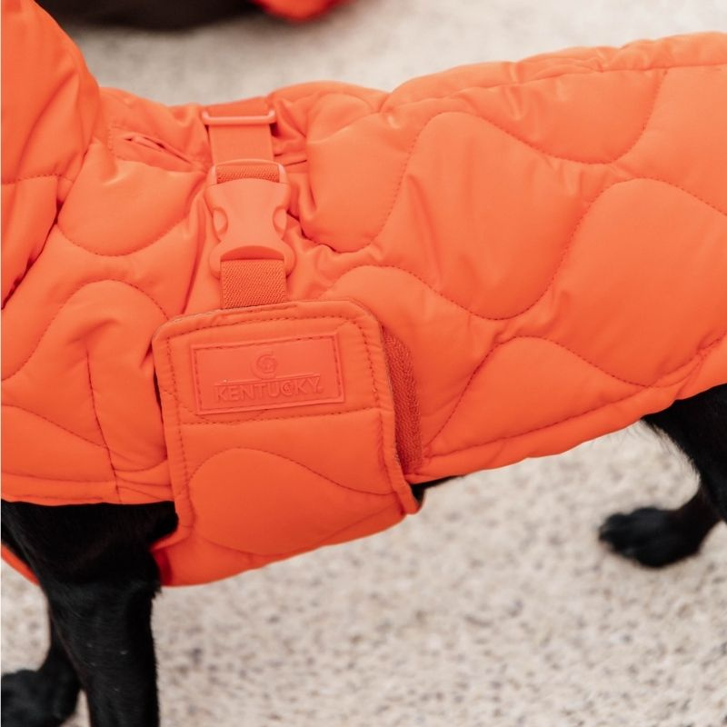 Hundtäcke Winter Pina 160g Orange