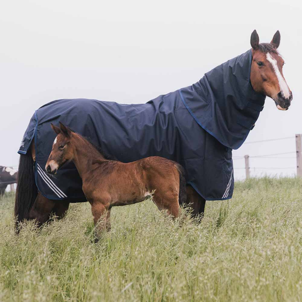 Utetäcke All Weather Waterproof Comfort 200g Marinblå