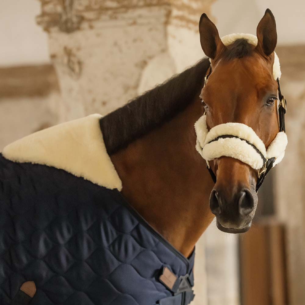 Stalltäcke Comfort 200g Marinblå