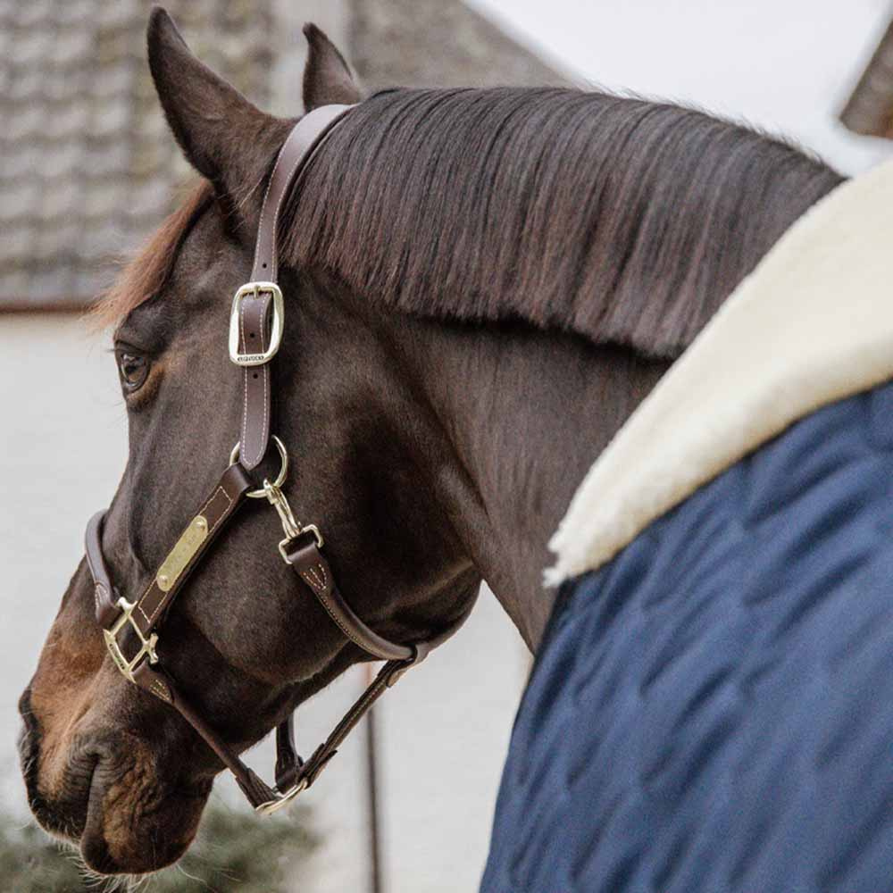Stalltäcke Comfort 200g Marinblå