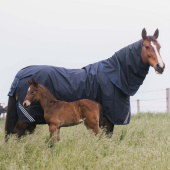 Hals All Weather Waterproof Comfort 0g Marinblå Hals All Weather Waterproof Comfort 0g Marinblå