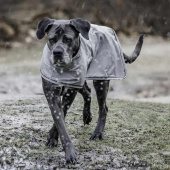 Regntäcke Hund 0g Grå Regntäcke Hund 0g Grå