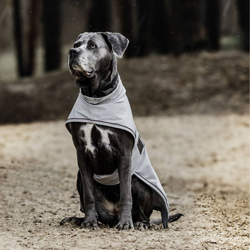 Regntäcke Hund 0g Grå