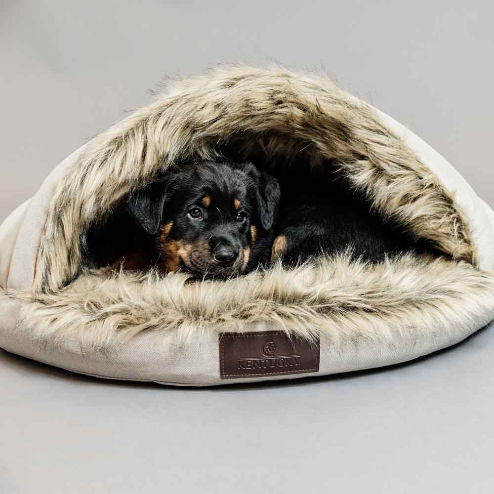 Hundbädd Igloo Beige