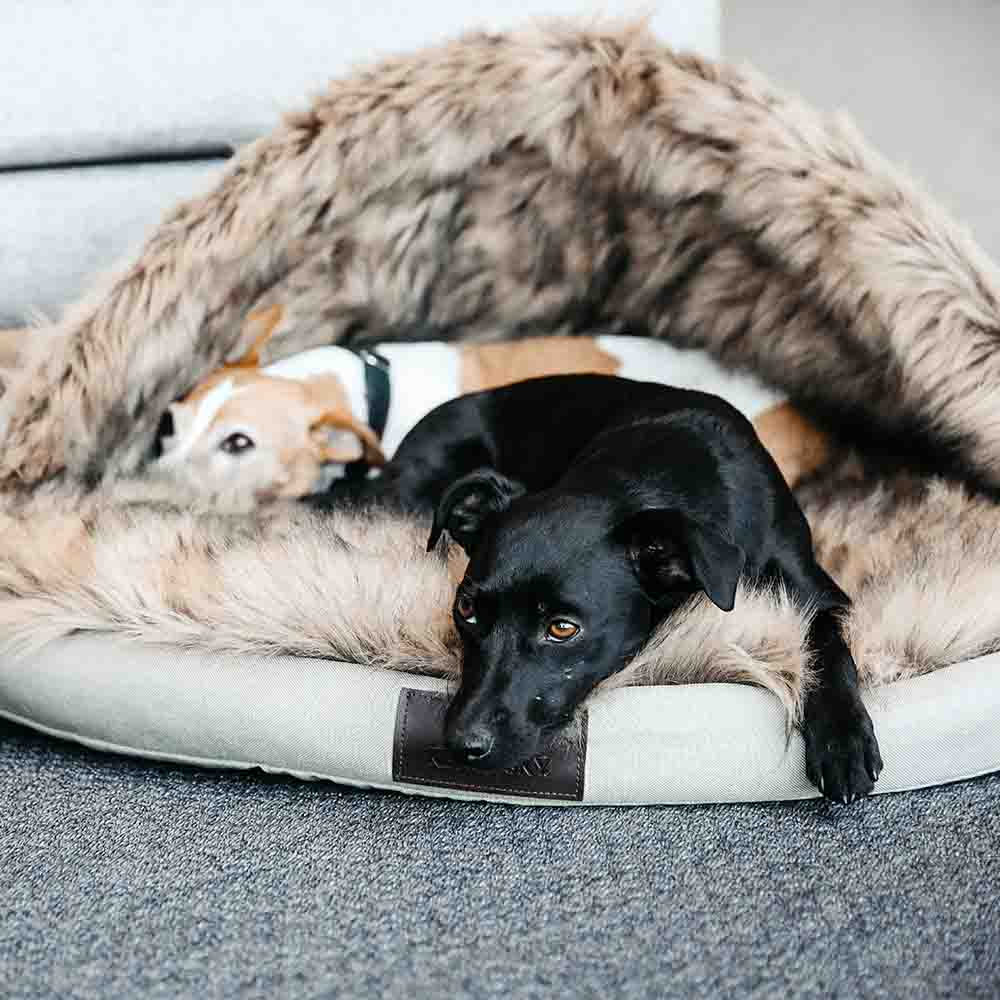 Hundbädd Igloo Beige