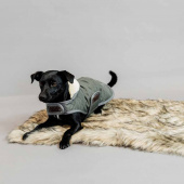 Hundfilt Fuzzy Blanket Beige
