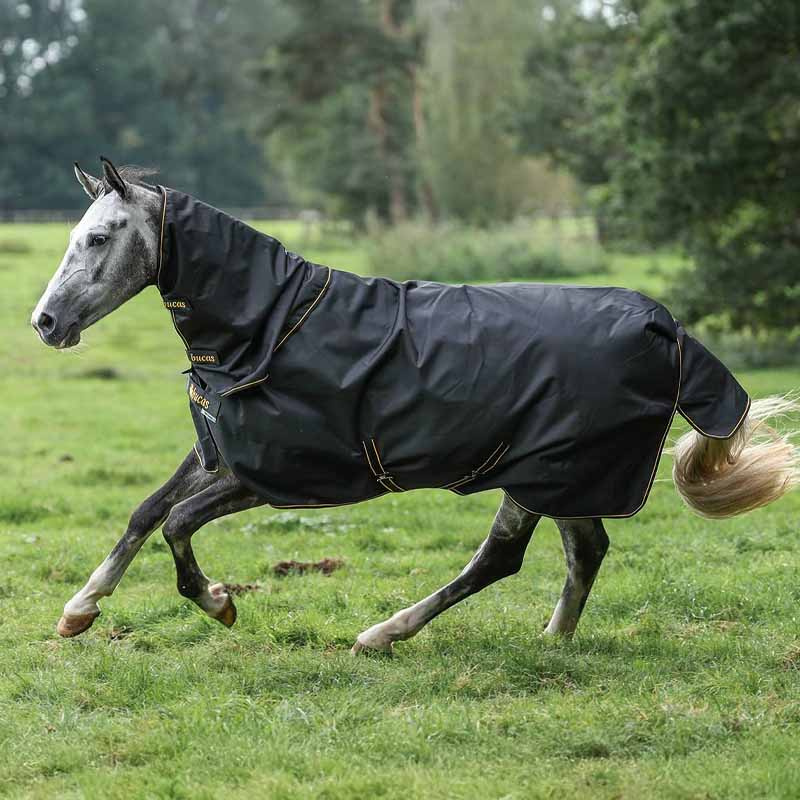 Regntäcke med Hals Irish Turnout 50g Svart/Guld