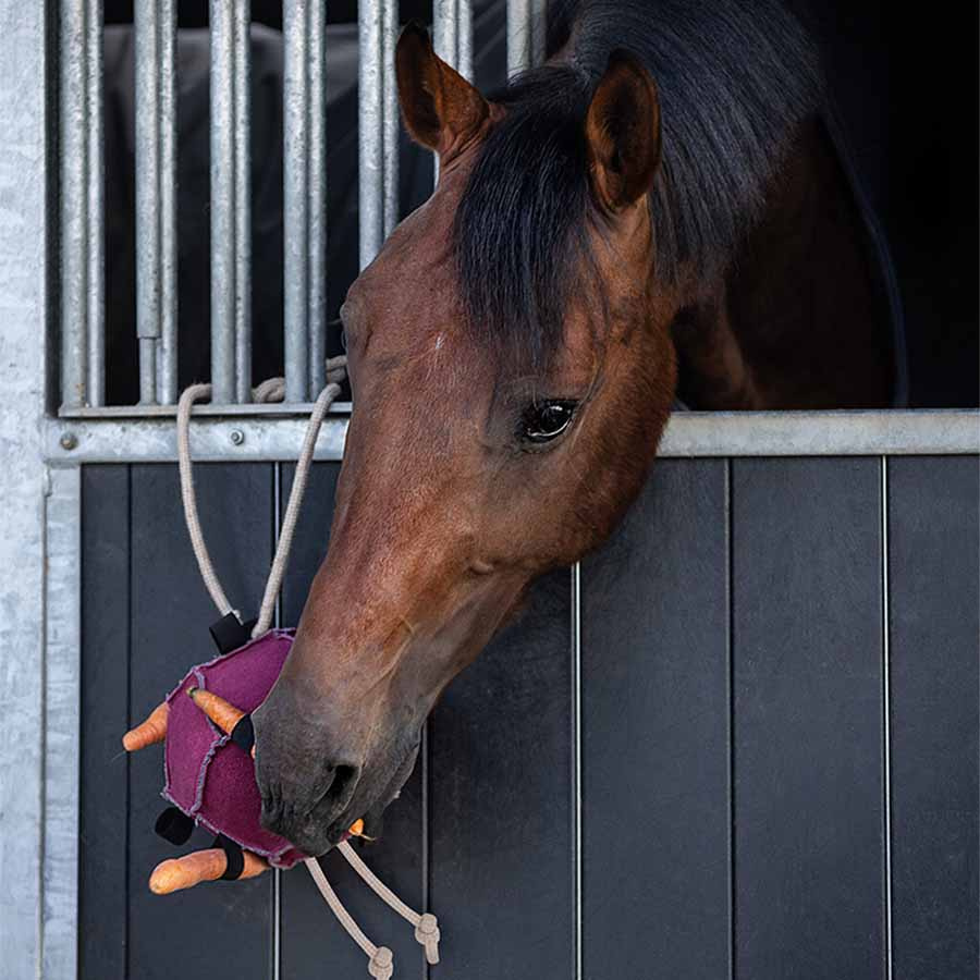 Hästleksak Boll Loop i Mocka Rosa