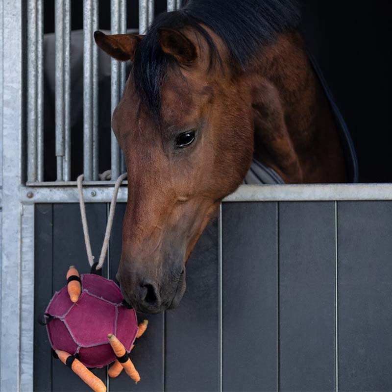 Hästleksak Boll Loop i Mocka Rosa