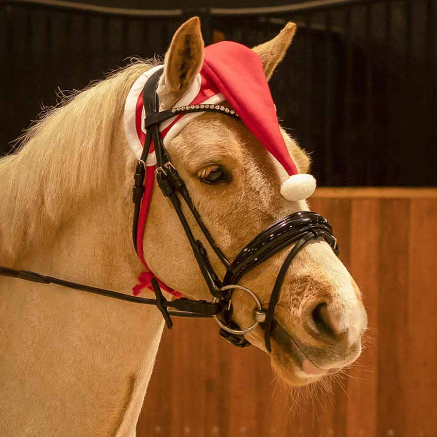 Huva Christmas Hat Röd/Vit