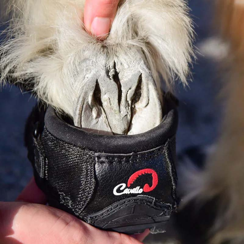 Hovboots CLB 2-pack Slim Svart