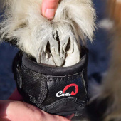 Hovboots CLB 2-pack Slim Svart Hovboots CLB 2-pack Slim Svart