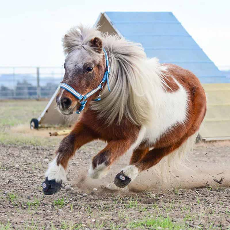 Hovboots CLB 2-pack Slim Svart