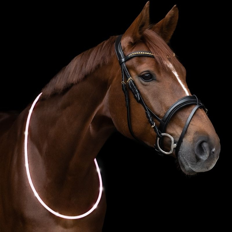 Halsring LED Light Vit
