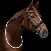Halsring LED Light Vit Halsring LED Light Vit
