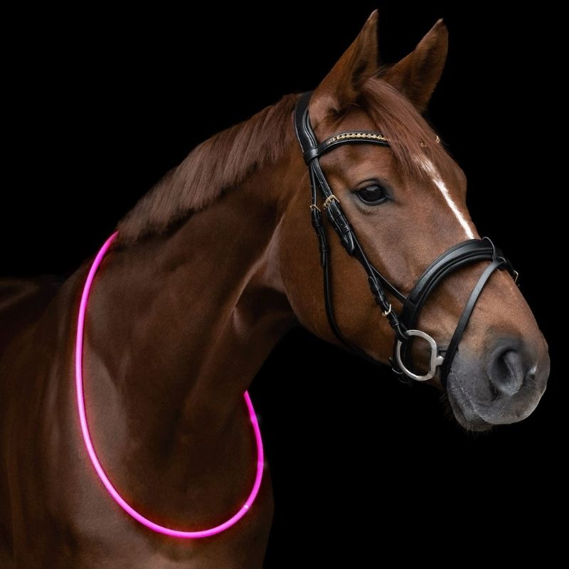 Halsring LED Light Rosa