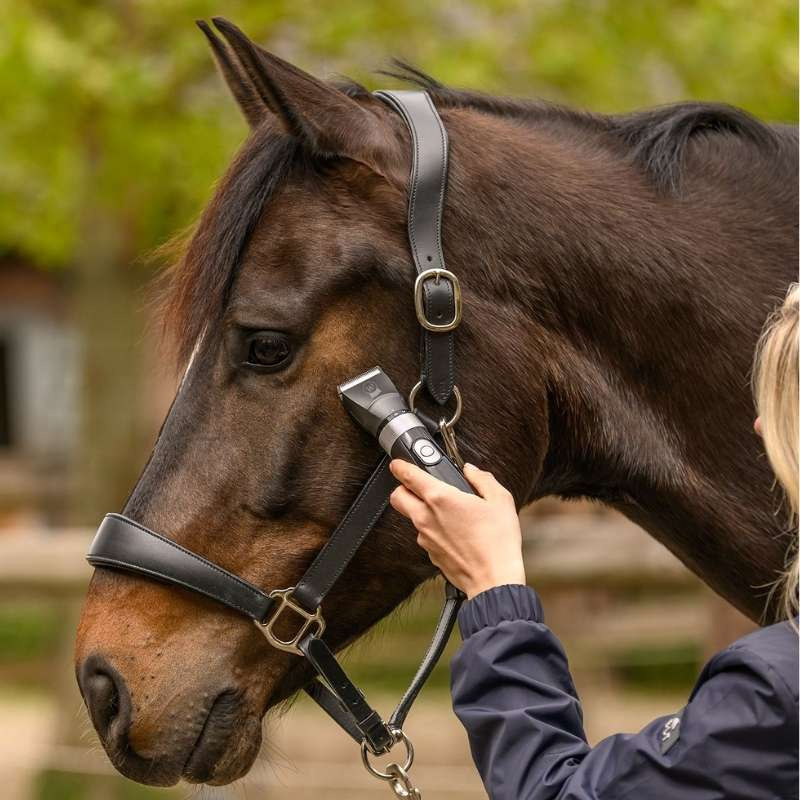 Sladdlös Klippmaskin EquiClip