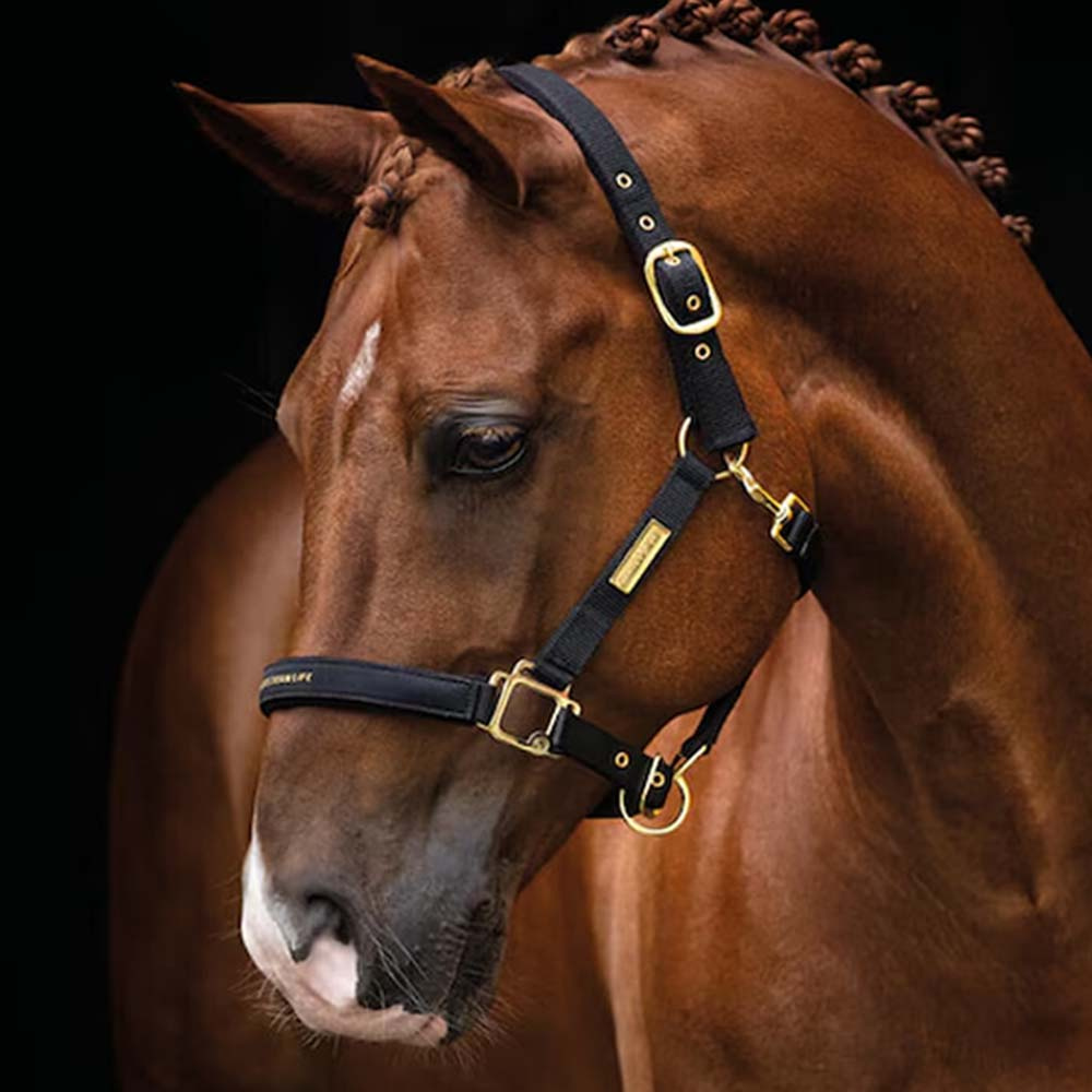 Grimma HS Equestrian Life Svart