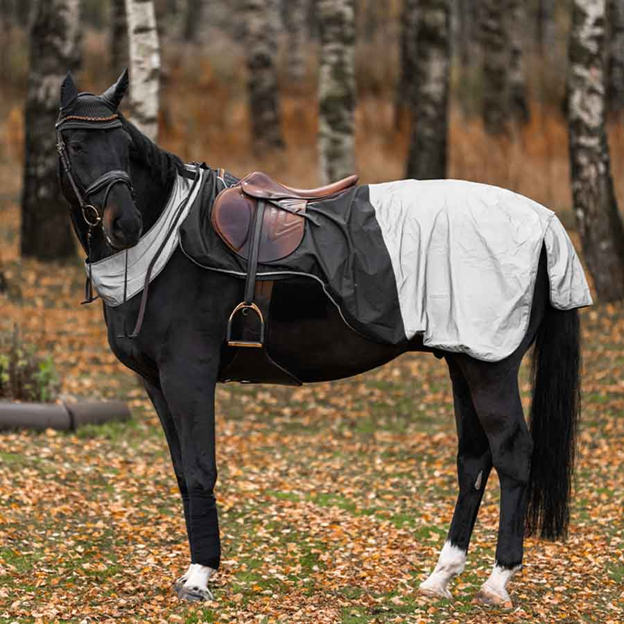 Ridtäcke HS Brilliance Reflex Svart/Silver