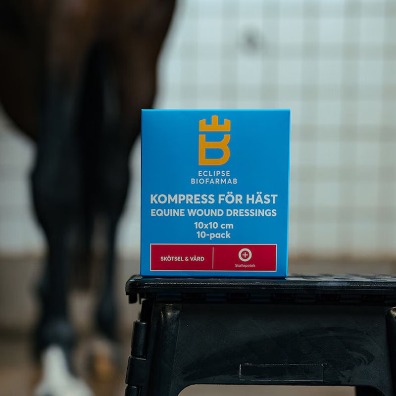 Steril kompress för häst 10-pack Vit 10x10 cm