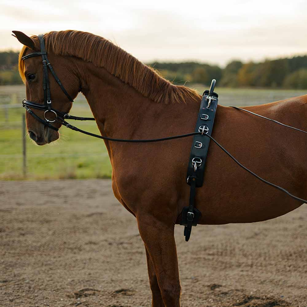 Tömkörningsgjord med Båge HS Svart