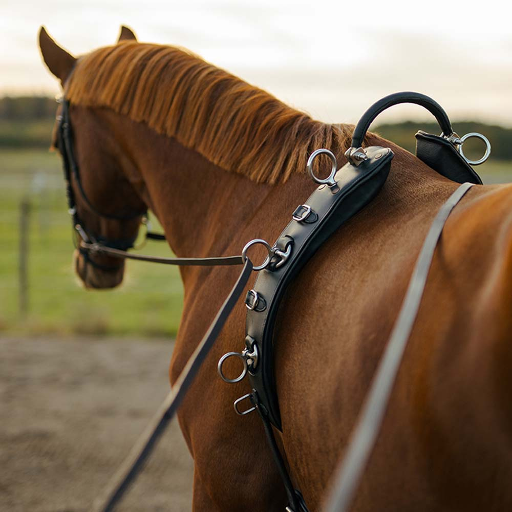 Tömkörningsgjord med Båge HS Svart