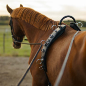 Tömkörningsgjord med Båge HS Svart Tömkörningsgjord med Båge HS Svart