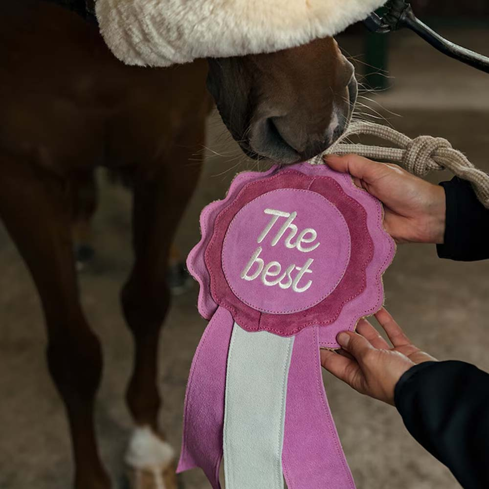 Hästleksak HS Prisrosett The Best Rosa