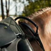 Halsrem med Handtag HS Svart Halsrem med Handtag HS Svart