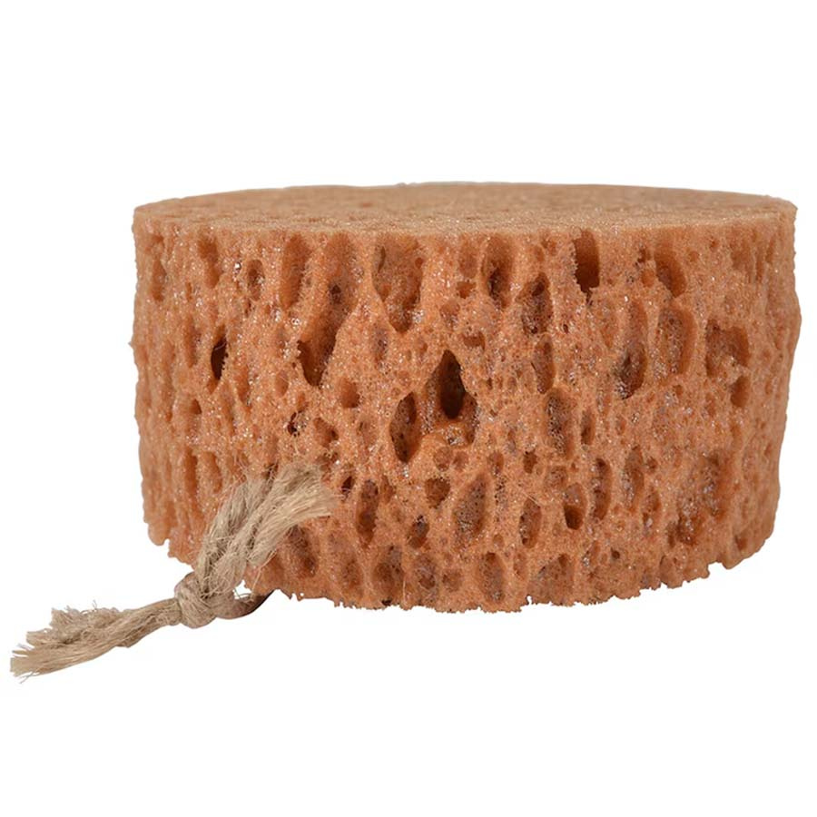 Rund Tvättsvamp Brun