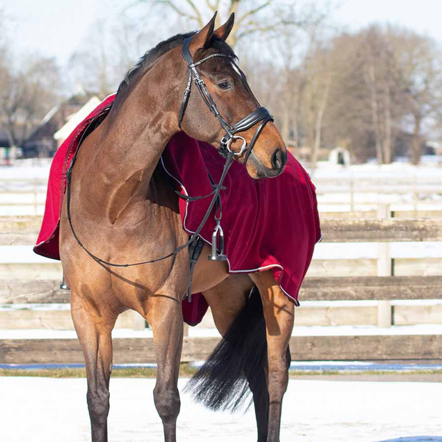Skrittäcke Ornament Fleece Vinröd/Silver