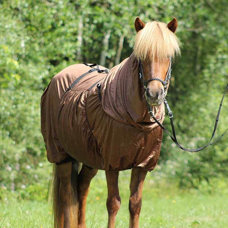 Eksemtäcke Icelandic UV-Protection Brun