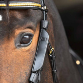 Fokusblinkers till Sidostycken 2-pack Svart Fokusblinkers till Sidostycken 2-pack Svart