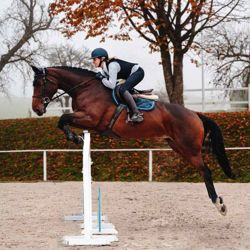 Ryggskydd Ballistic Flex Fit Slim Svart/Vinröd