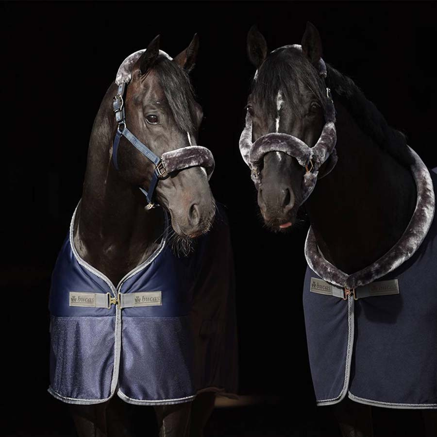 Svettäcke Show-Line Competition Cooler Marinblå